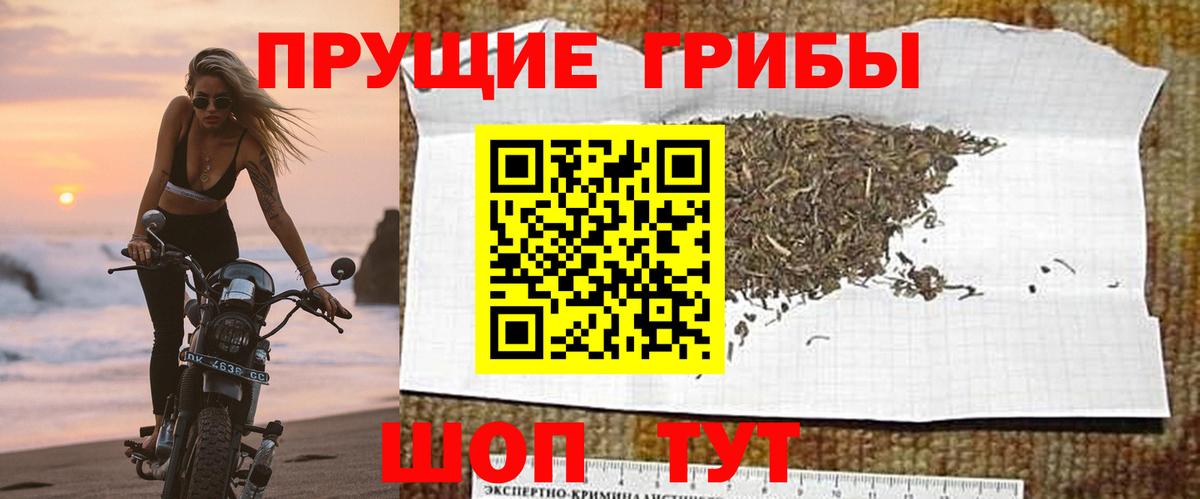 Псилоцибиновые грибы Cubensis  Псилоцибиновые грибы ЛСД  Верхняя Салда  закладка  Вход с VPN 